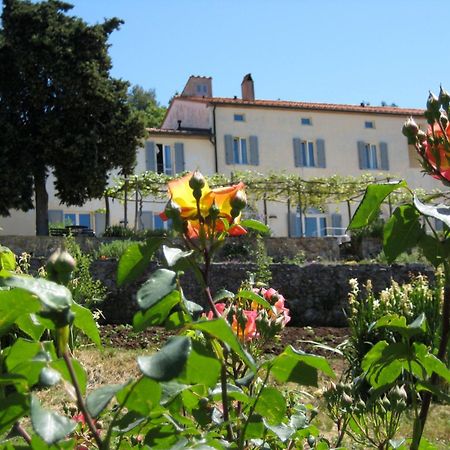 Podere Riparbella マッサ・マリッティマ エクステリア 写真